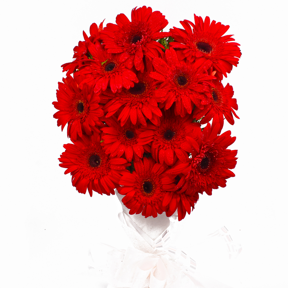 Fantastic Fifteen Red Gerberas Bouquet