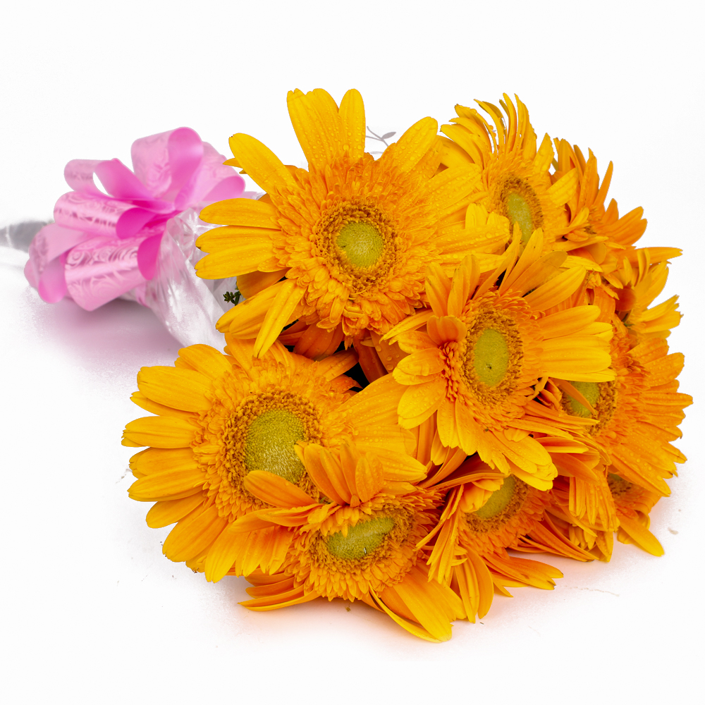 Hand Tied 10 Yellow Gerberas