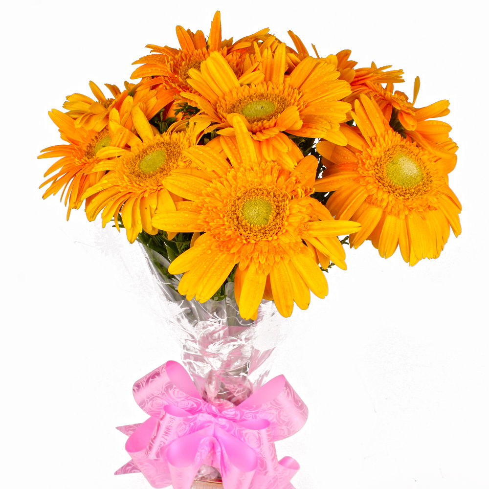 Hand Tied 10 Yellow Gerberas