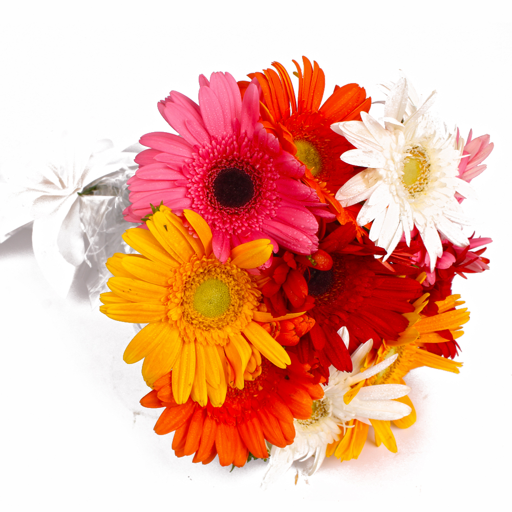 Ten Mix Color Gerberas Hand Tied Bouquet