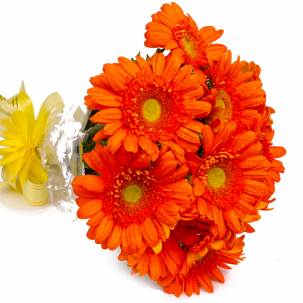 Bouquet of 10 Orange Gerberas Online