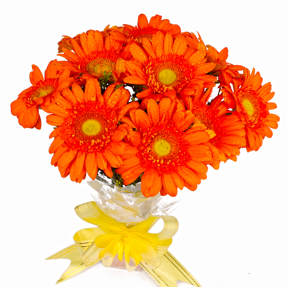 Bouquet of 10 Orange Gerberas Online