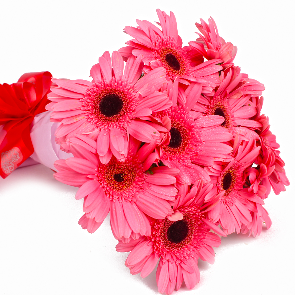 Bouquet of Ten Pink Gerberas in Tissue Wrapped