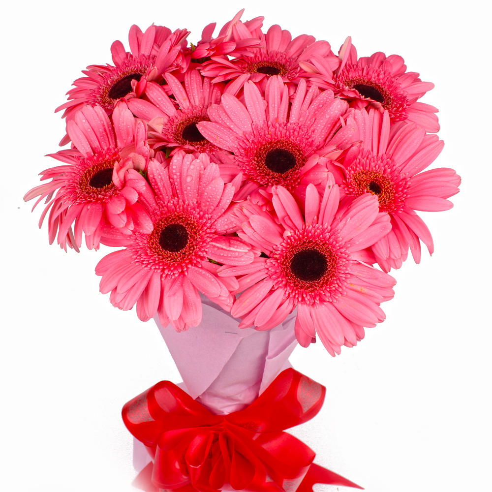 Bouquet of Ten Pink Gerberas in Tissue Wrapped