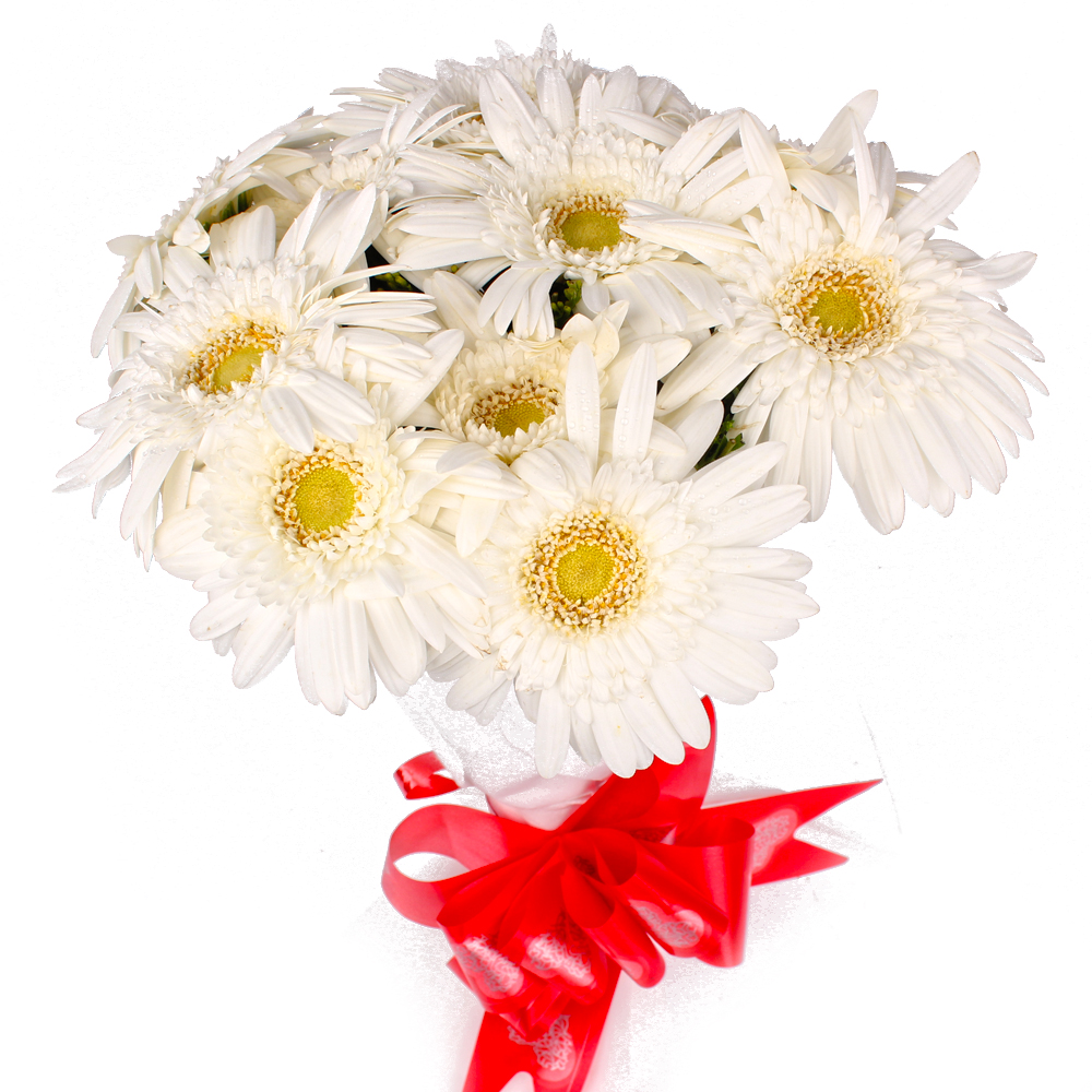 Ten White Gerberas with Tissue Wrapping
