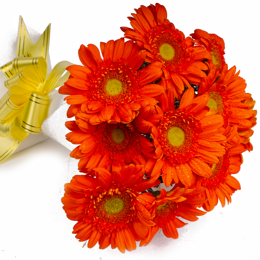 Bouquet of Ten Orange Gerberas in Tissue Wrapped