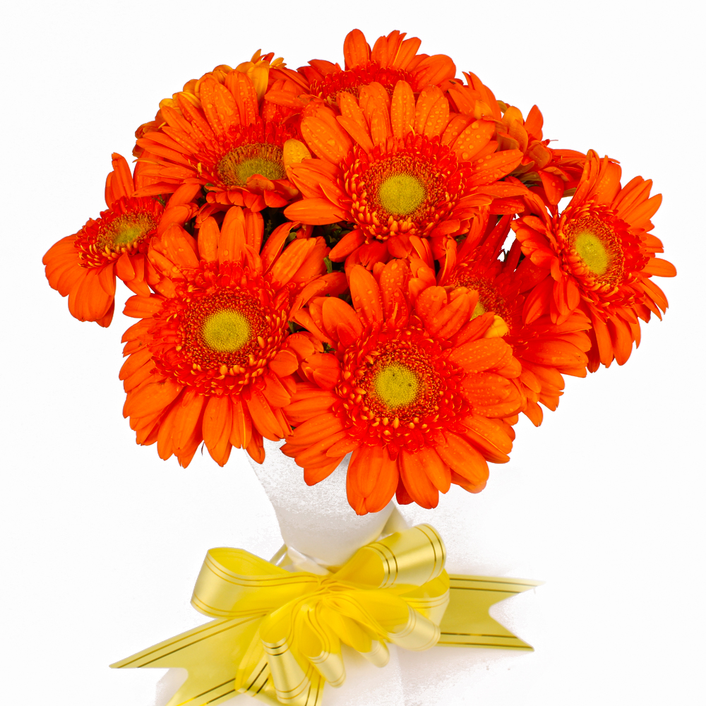 Bouquet of Ten Orange Gerberas in Tissue Wrapped