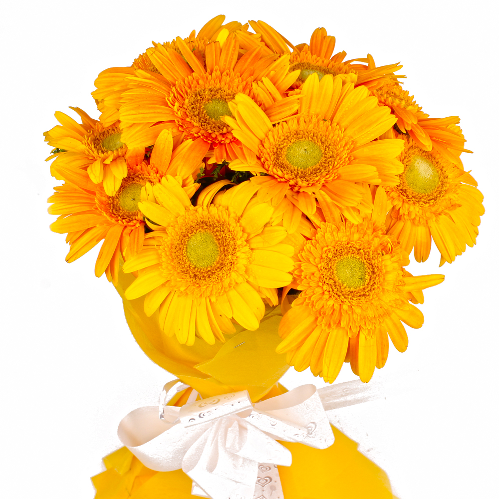 Bouquet of 10 Yellow Gerberas with Tissue Wrapped