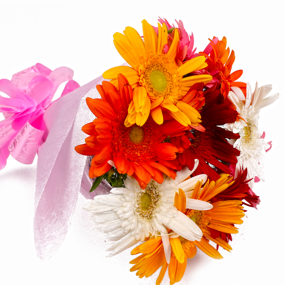 Tissue Wrapped 10 Mix Gerberas Bouquet Online