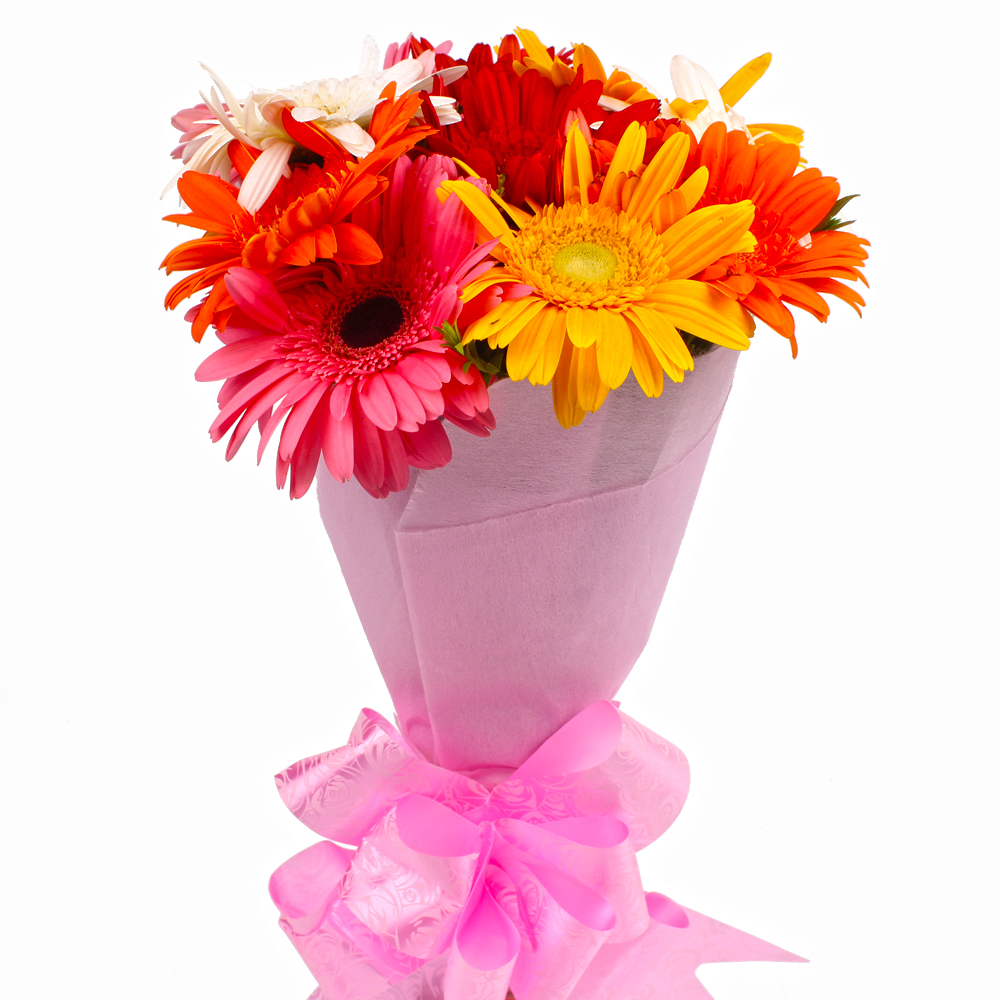 Tissue Wrapped 10 Mix Gerberas Bouquet Online