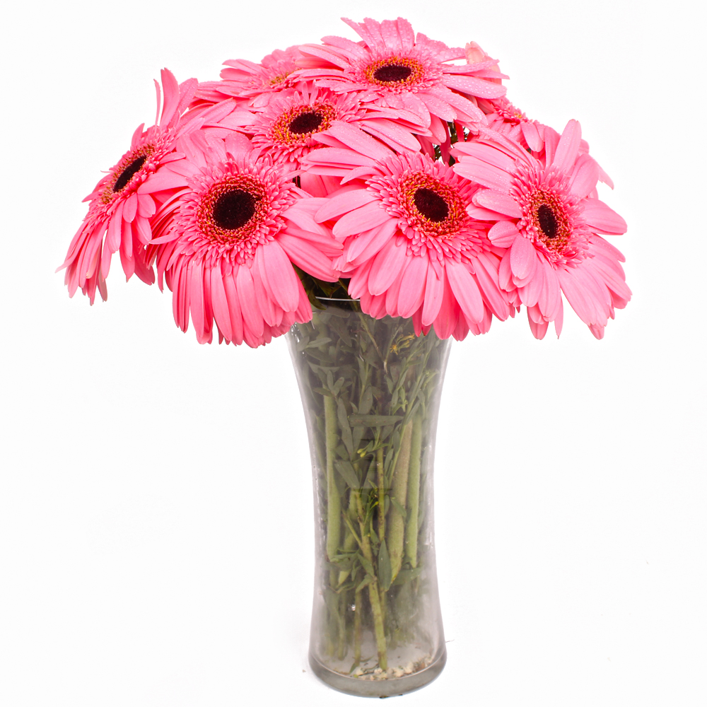Classic Vase of 10 Pink Gerberas