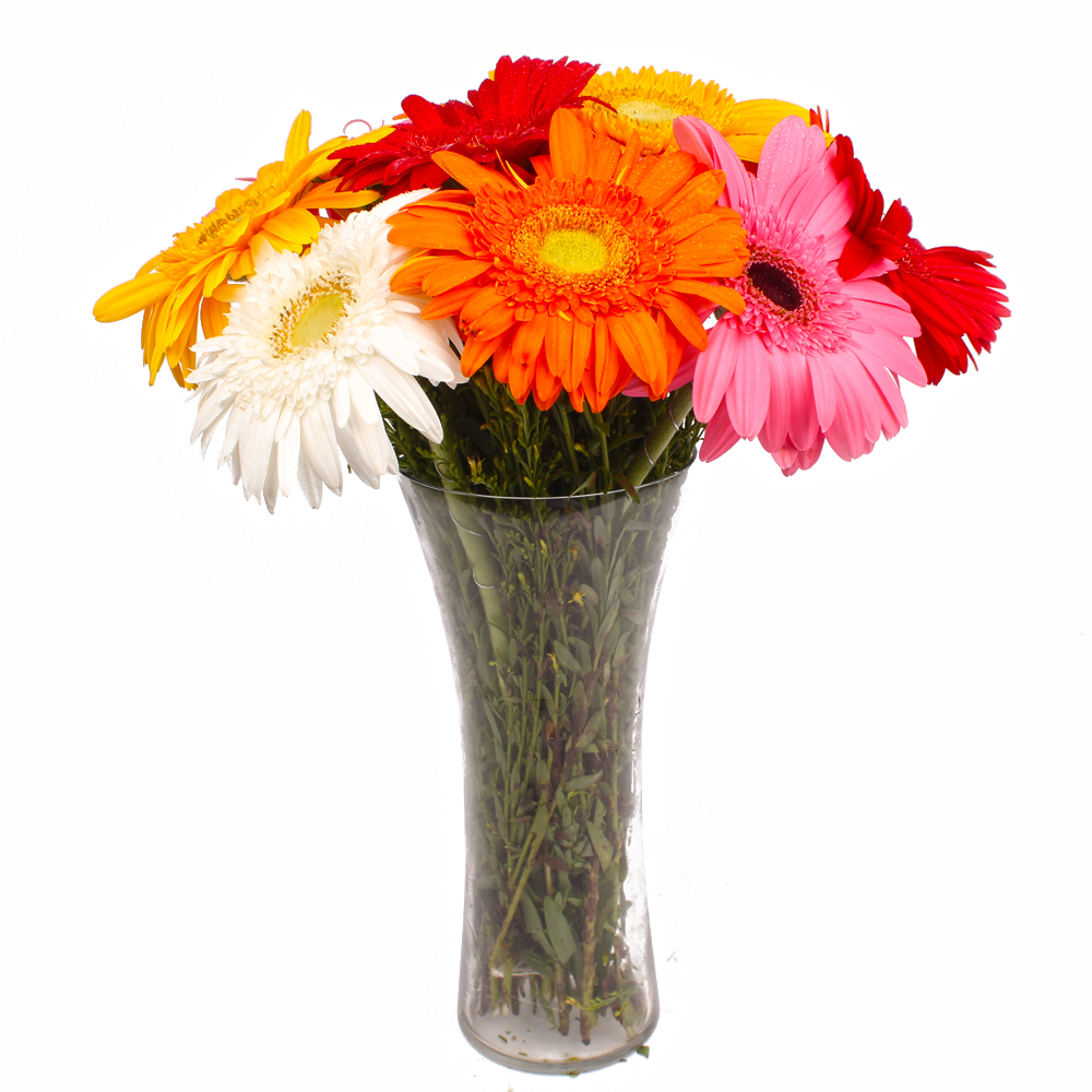 Glass Vase of Ten Multi Color Gerberas