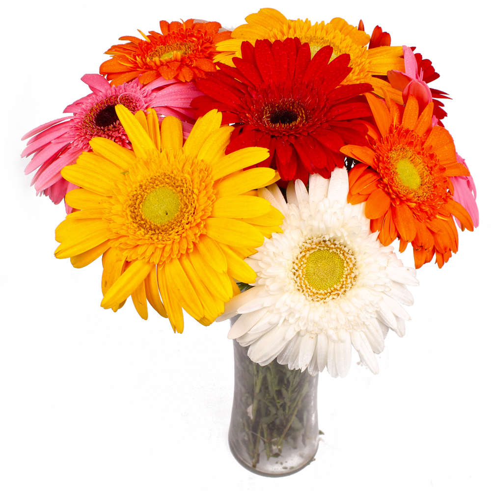 Glass Vase of Ten Multi Color Gerberas