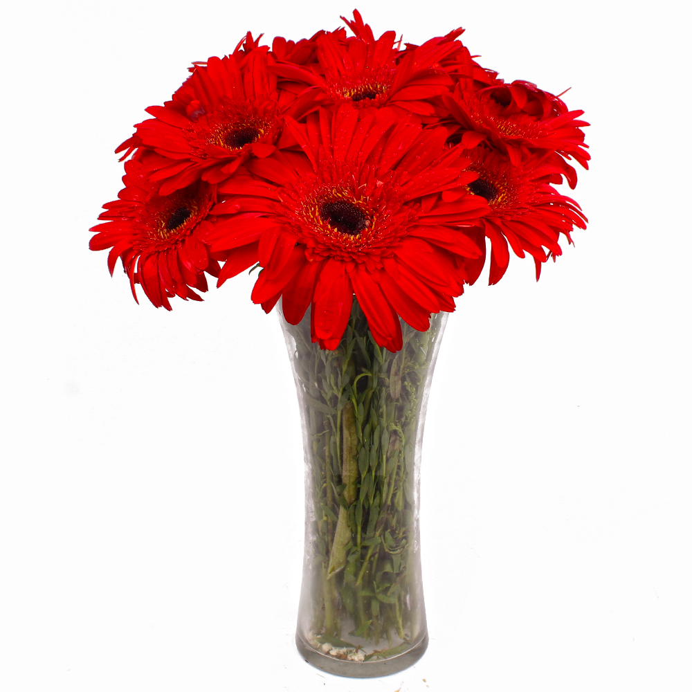 Vase Arrangement of 10 Red Color Gerberas