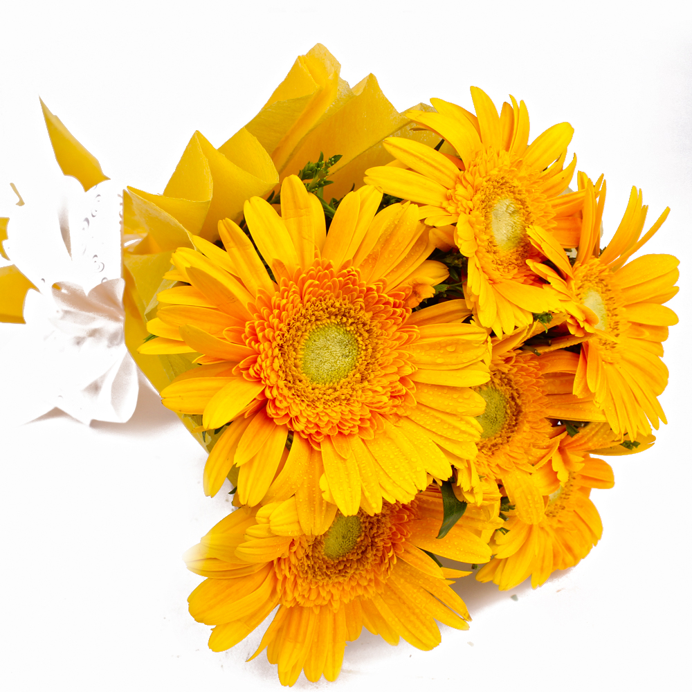 Bouquet of Six Yellow Color Gerberas in Tissue Wrapping