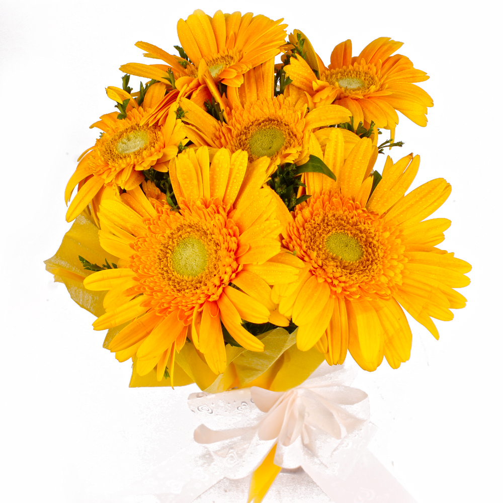 Bouquet of Six Yellow Color Gerberas in Tissue Wrapping