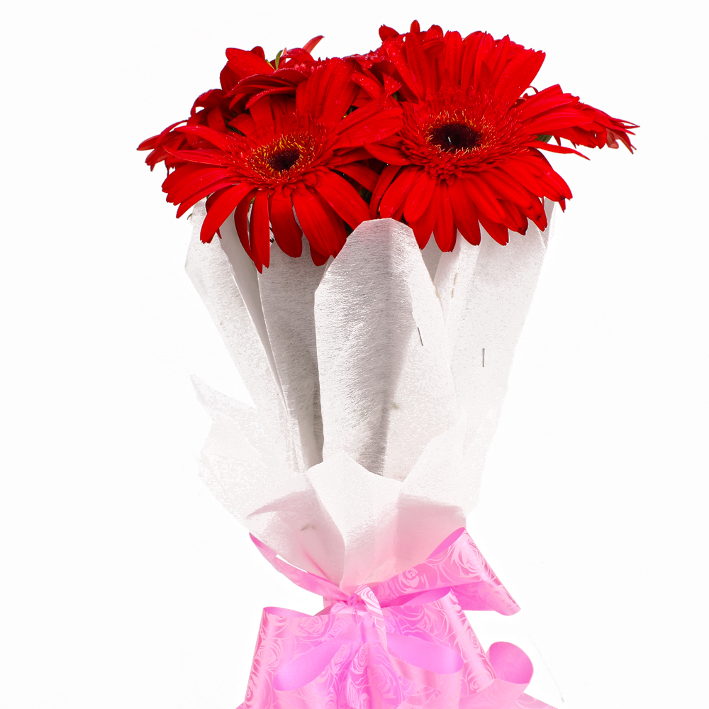 Bunch of 6 Red Gerberas in Tissue Wrapping