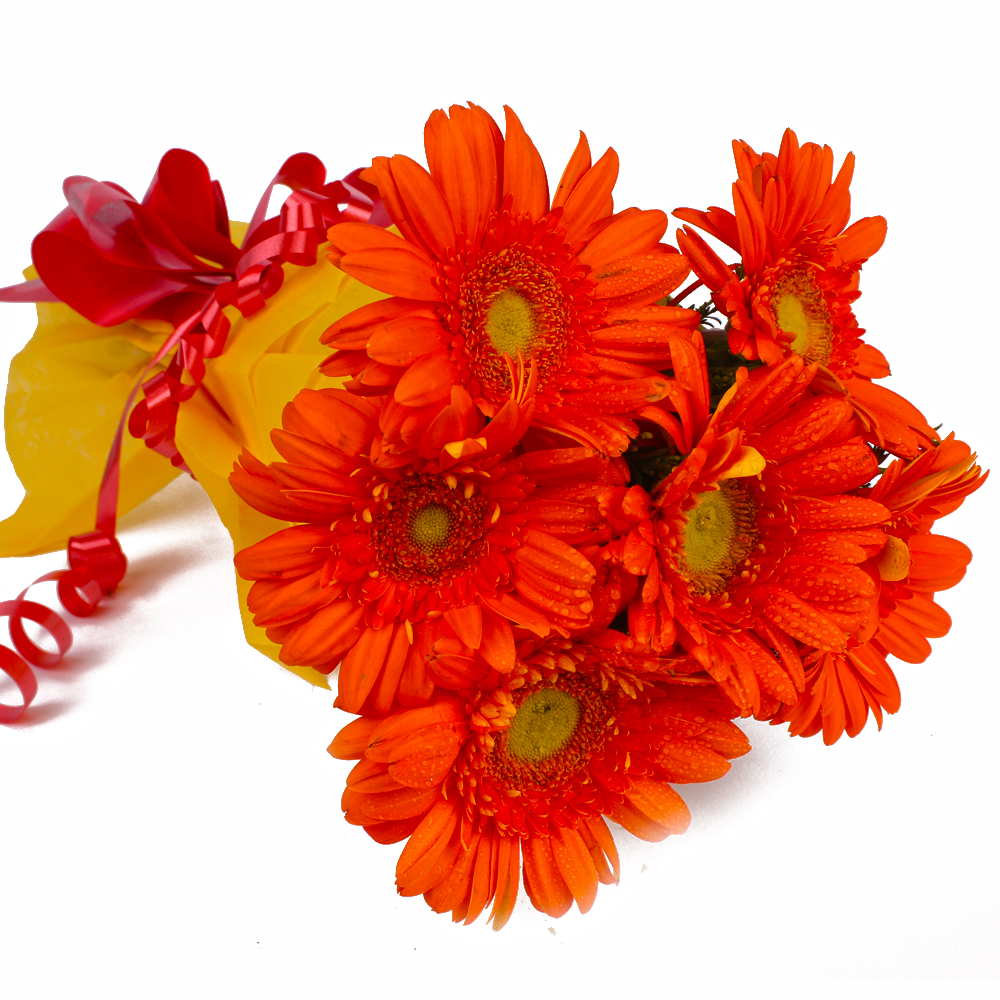 Bunch of 6 Orange Gerberas in Tissue Wrapping