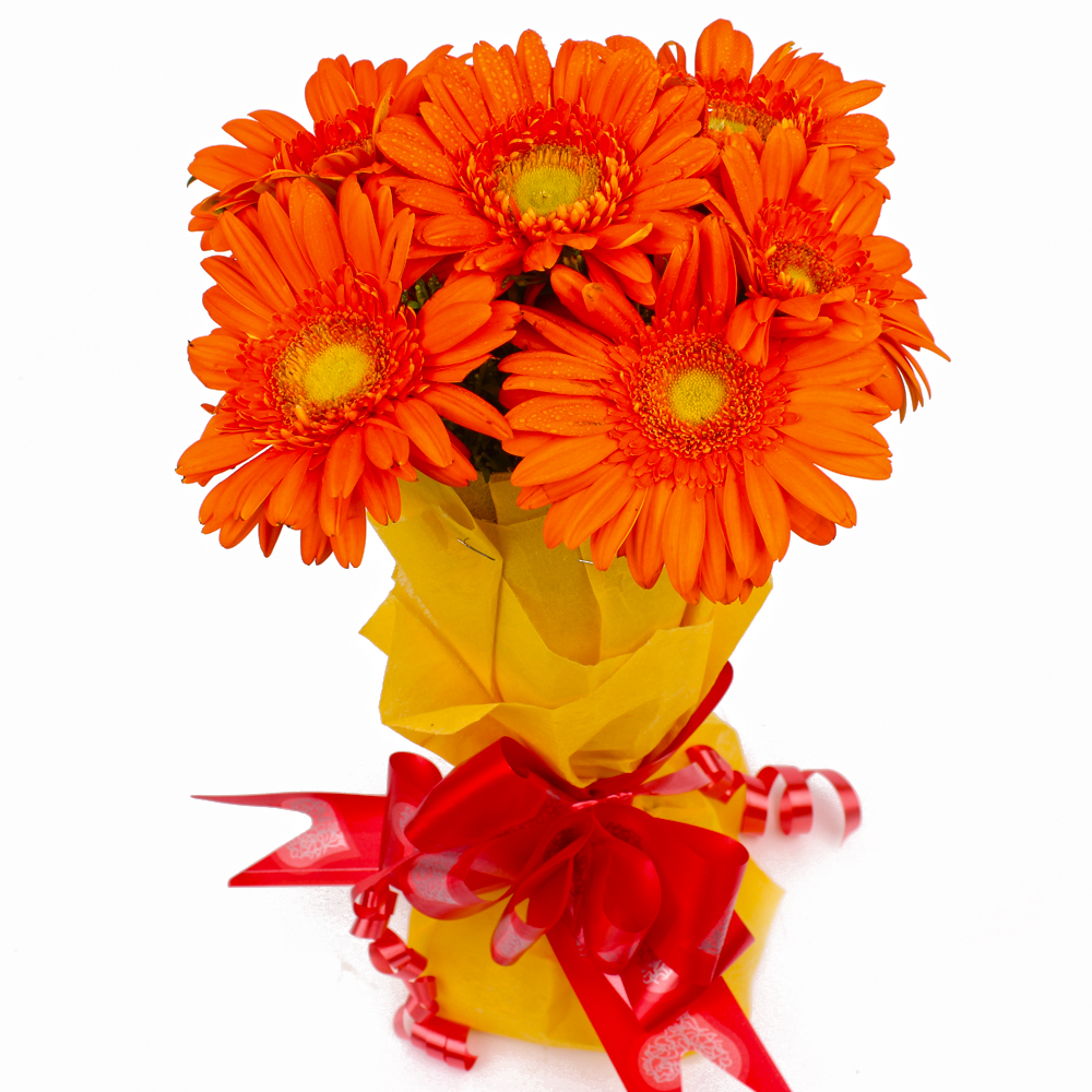 Bunch of 6 Orange Gerberas in Tissue Wrapping
