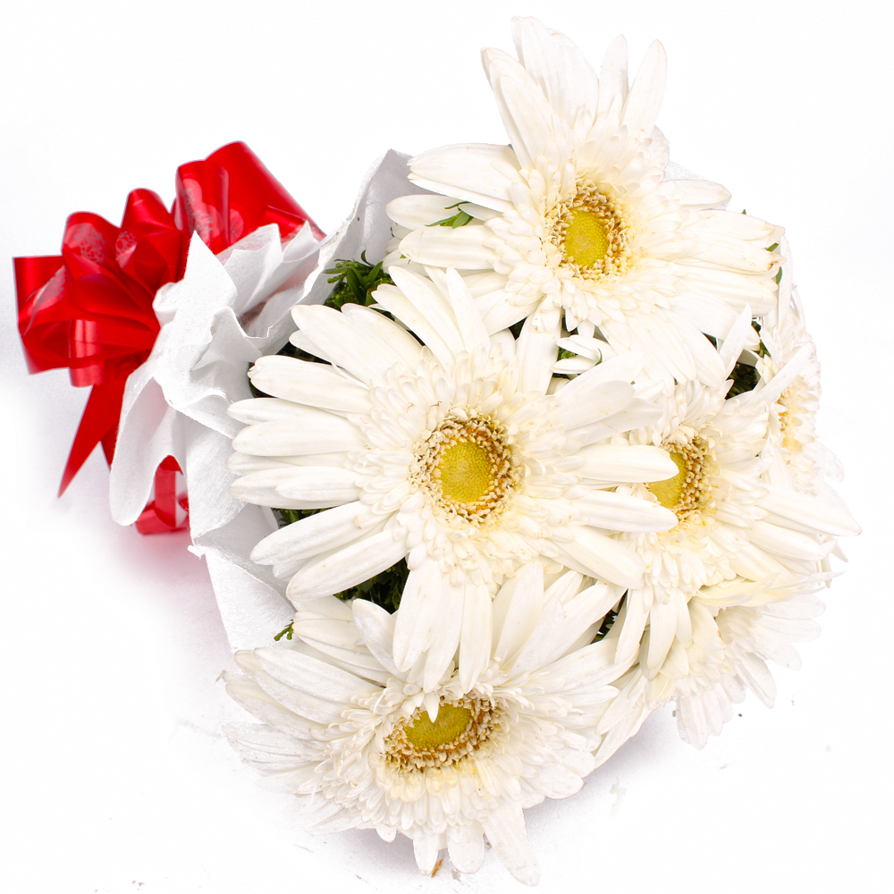 Bunch of 6 White Gerberas in Tissue Wrapping