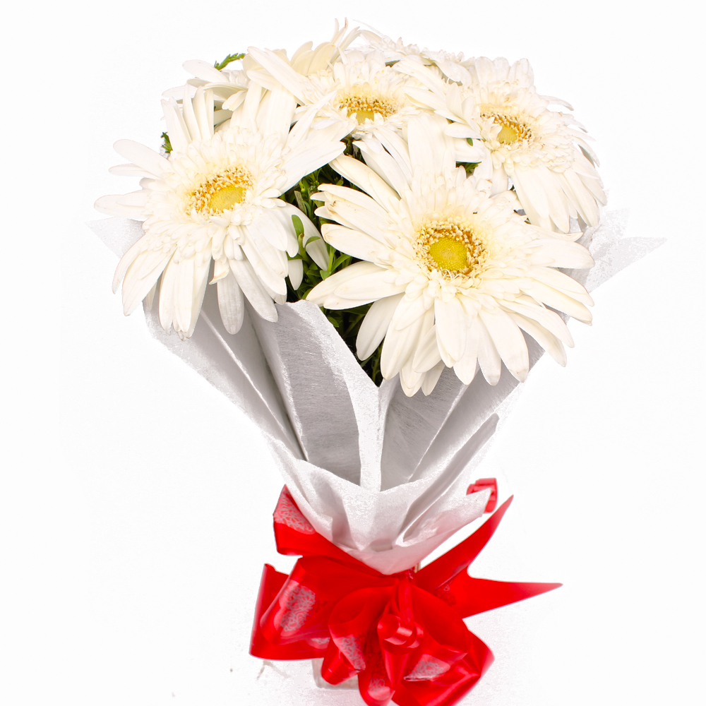 Bunch of 6 White Gerberas in Tissue Wrapping