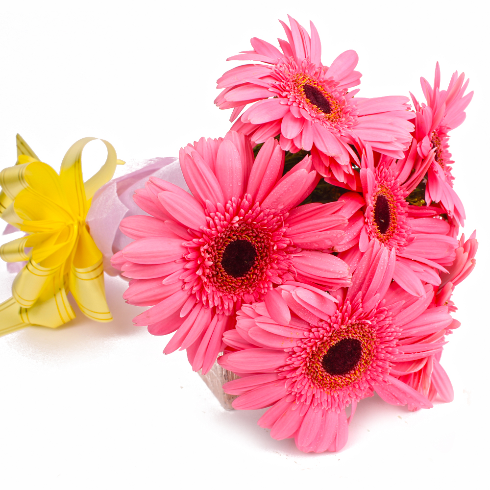 Six Pink Gerberas with Tissue Wrapping