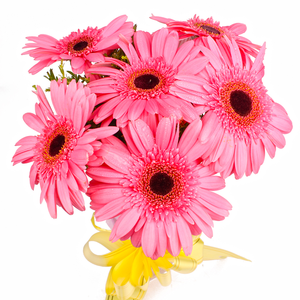 Six Pink Gerberas with Tissue Wrapping