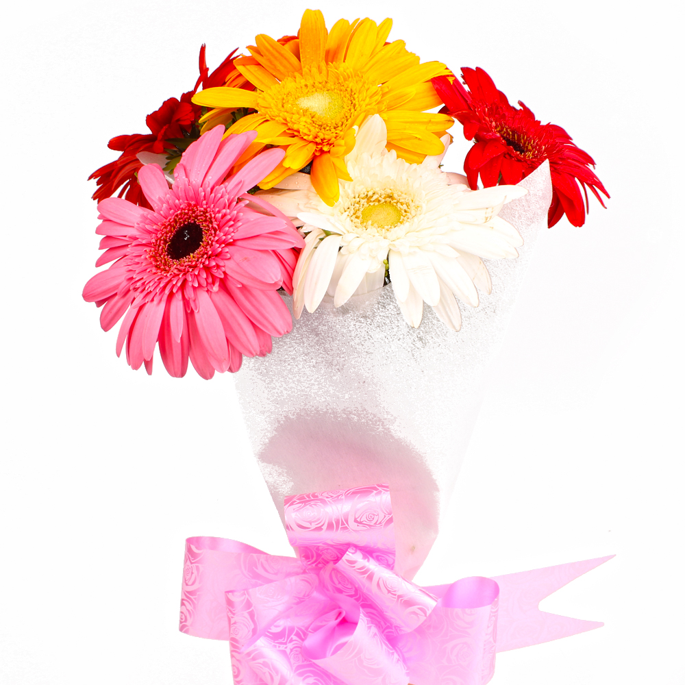 Six Multi Color Gerberas with Tissue Wrapping