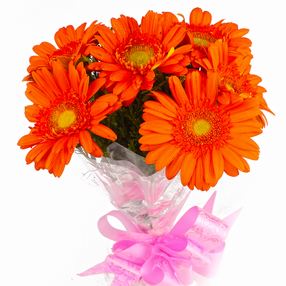 Send Fresh Six Orange Gerberas Hand Bunch Online