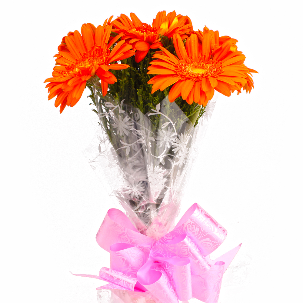 Send Fresh Six Orange Gerberas Hand Bunch Online