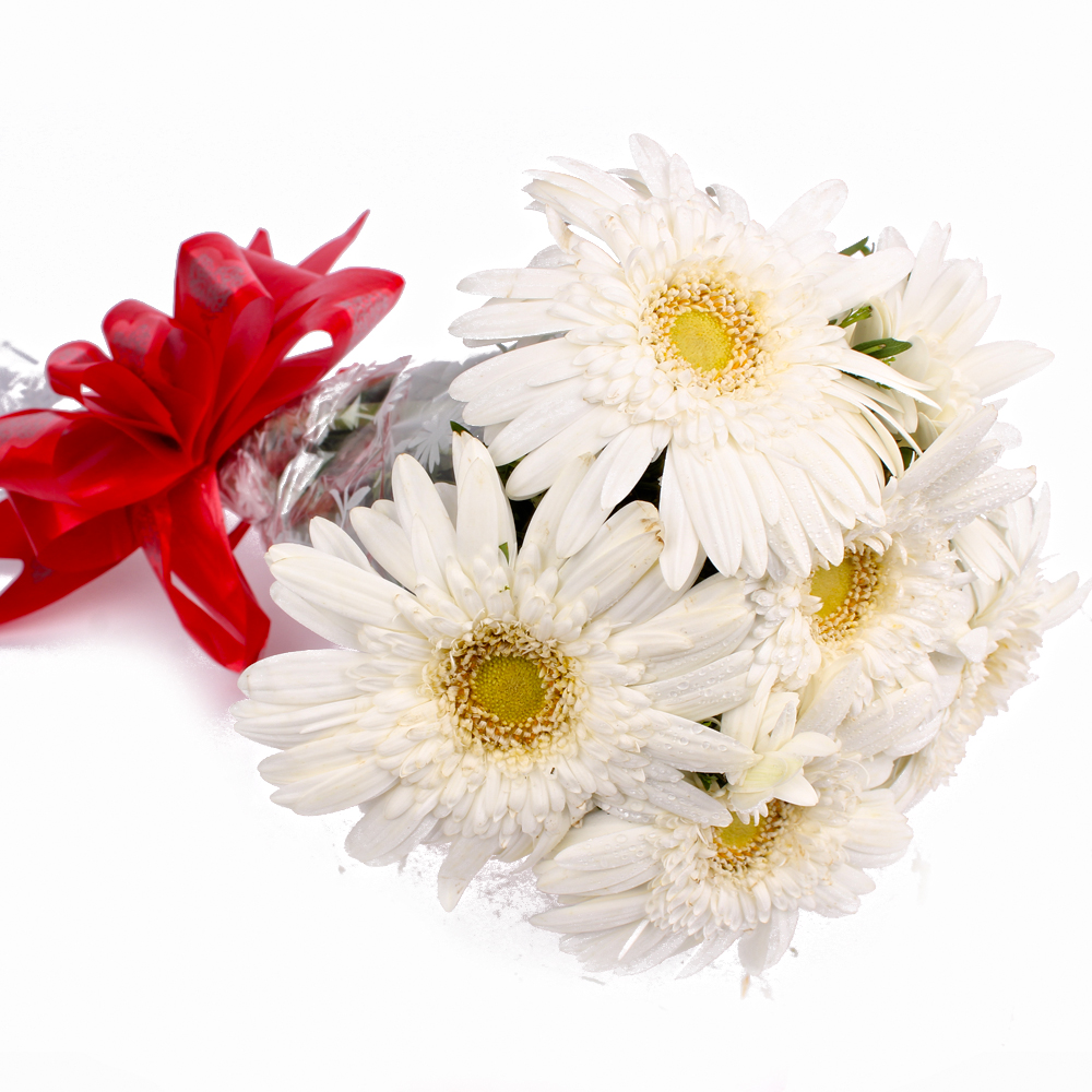 Fresh 6 White Gerberas Hand Tied Bunch