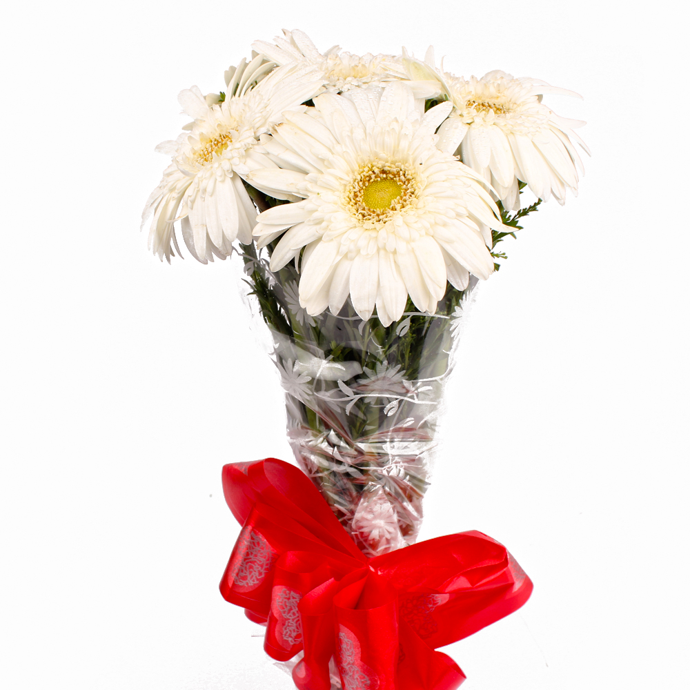 Fresh 6 White Gerberas Hand Tied Bunch