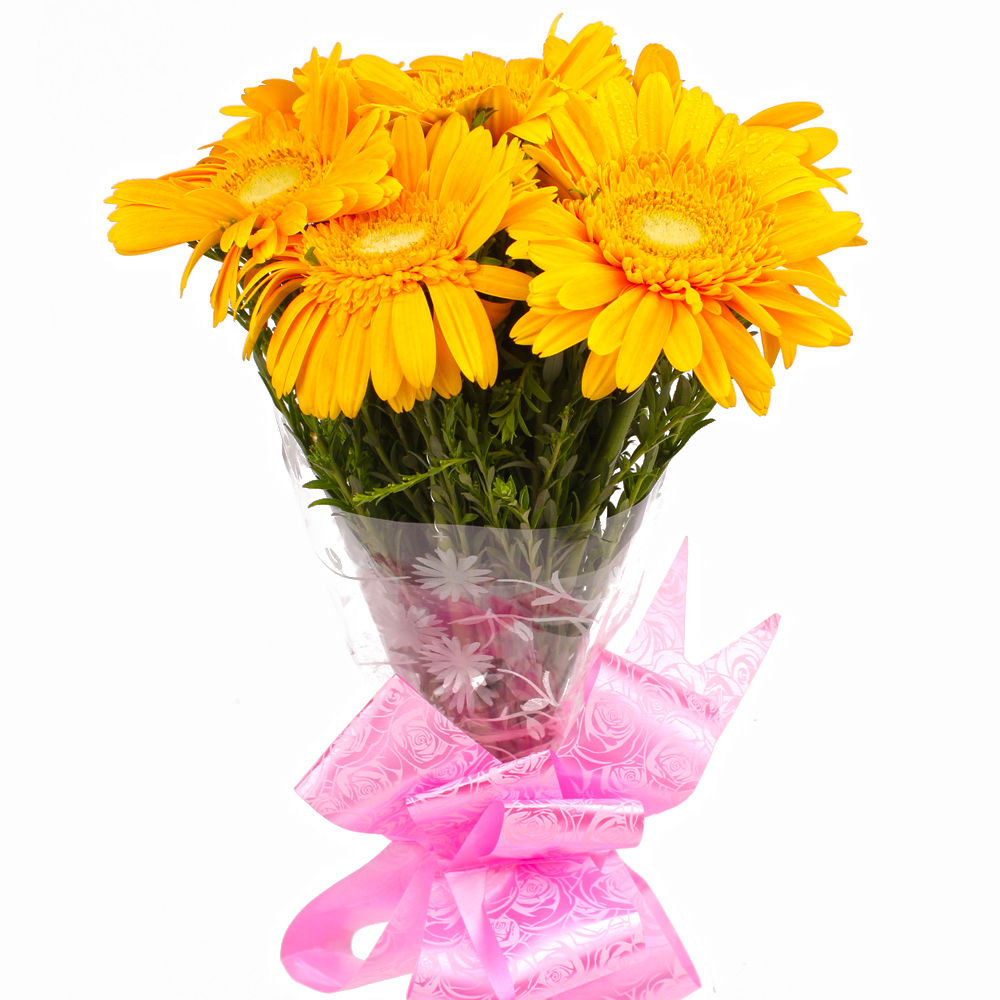 Six Yellow Gerberas Hand Tied Bunch