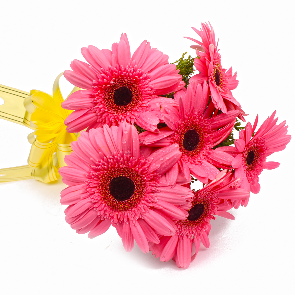 Six Pink Gerberas with Cellophane Wrapping