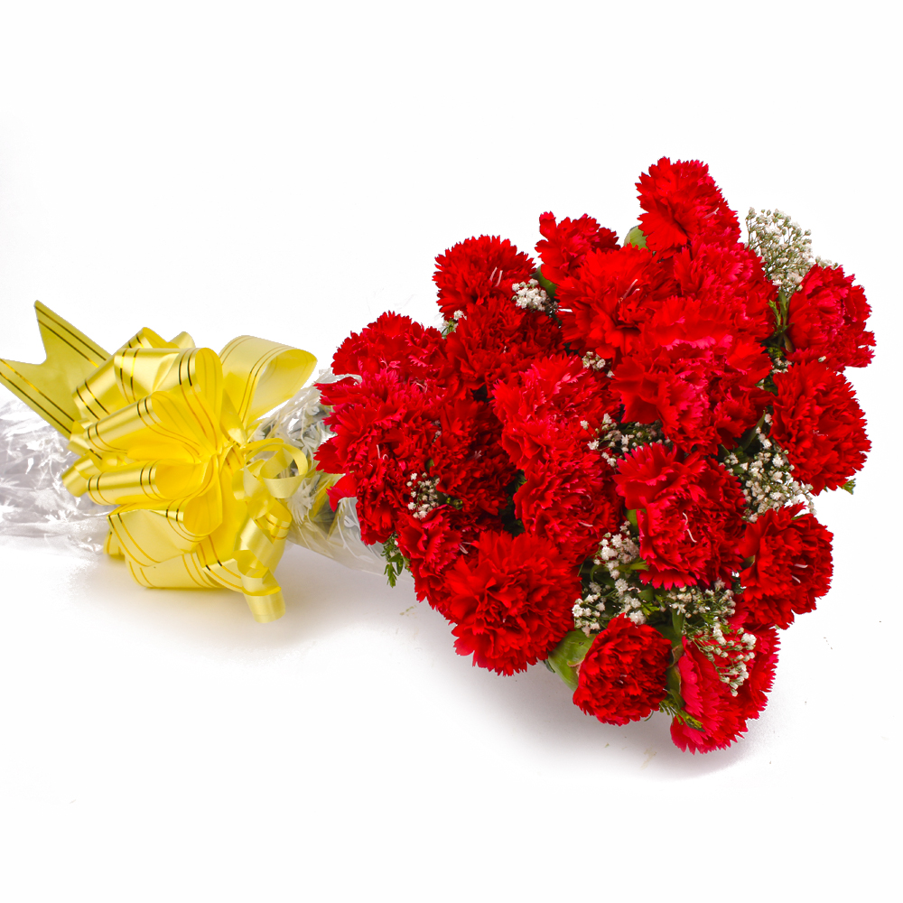 Twenty Red Carnations Bouquet Cellophane Wrapped