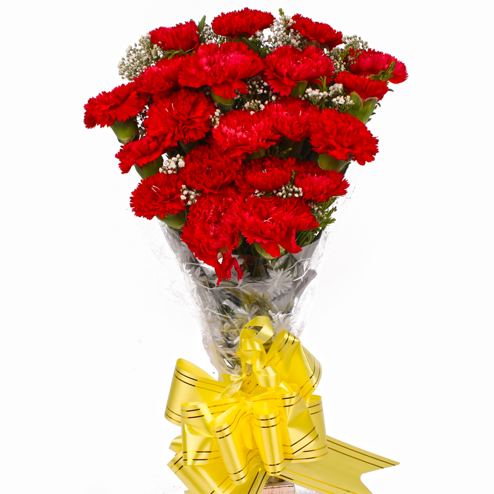 Twenty Red Carnations Bouquet Cellophane Wrapped