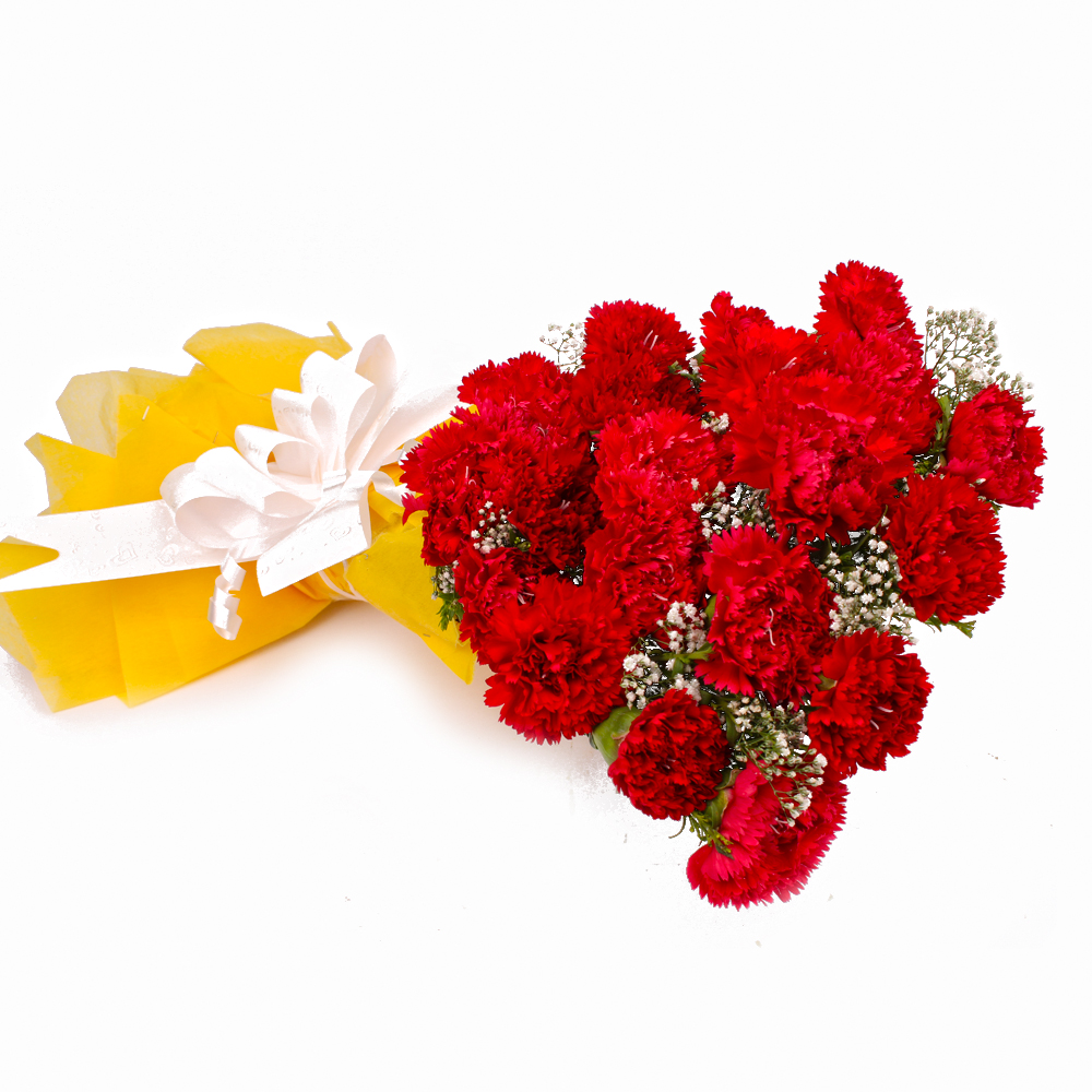 Bouquet of Twenty Red Carnations Tissue Wrapped