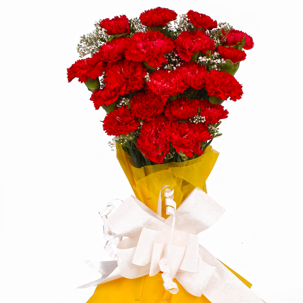 Bouquet of Twenty Red Carnations Tissue Wrapped