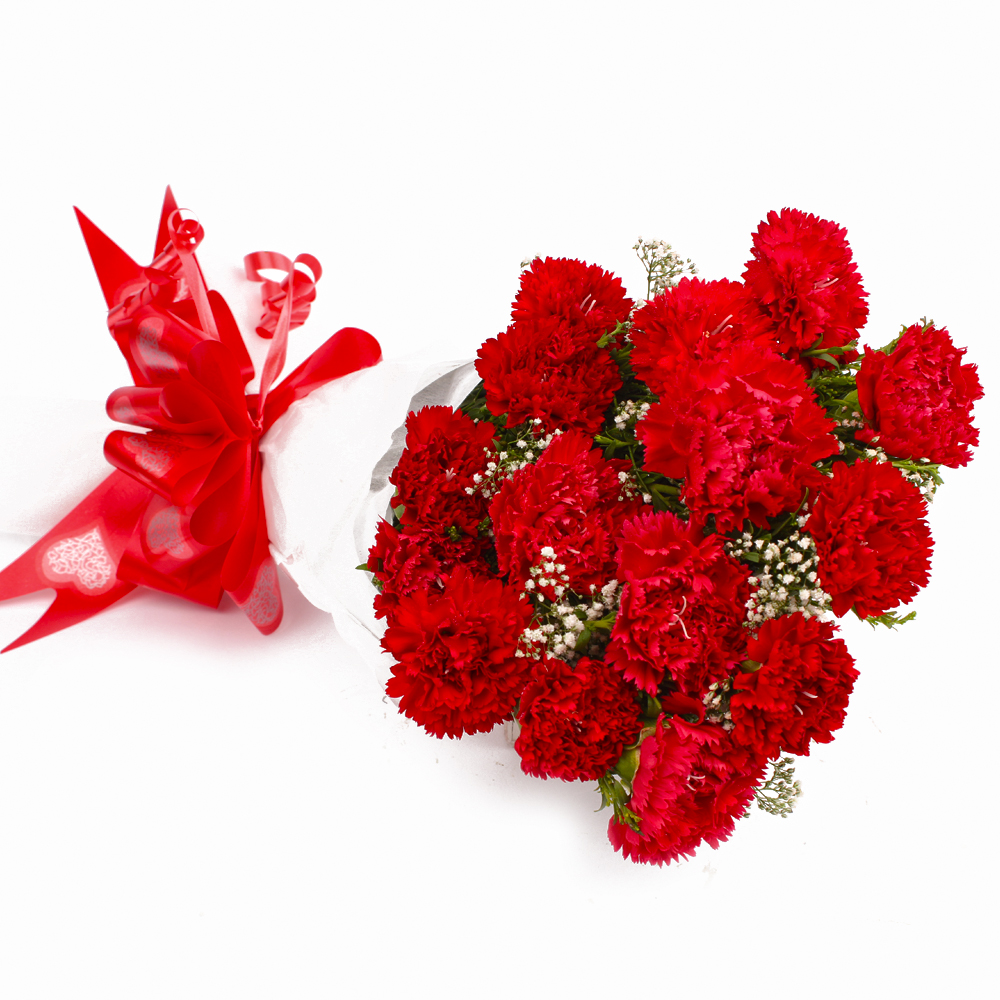 Bunch of Fifteen Red Carnations Tissue Wrapped