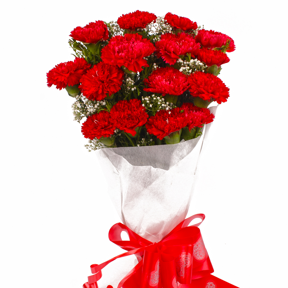 Bunch of Fifteen Red Carnations Tissue Wrapped