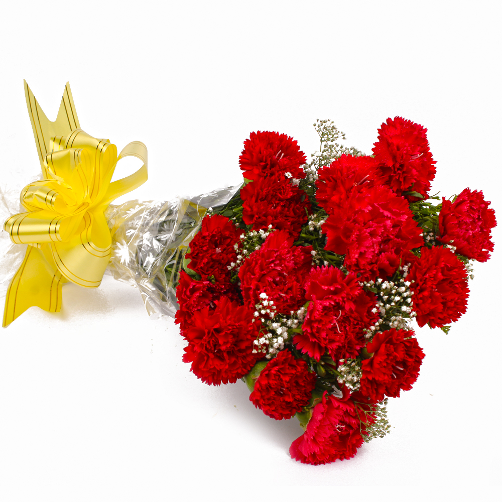 Fifteen Red Carnations Cellophane Wrapped Bunch