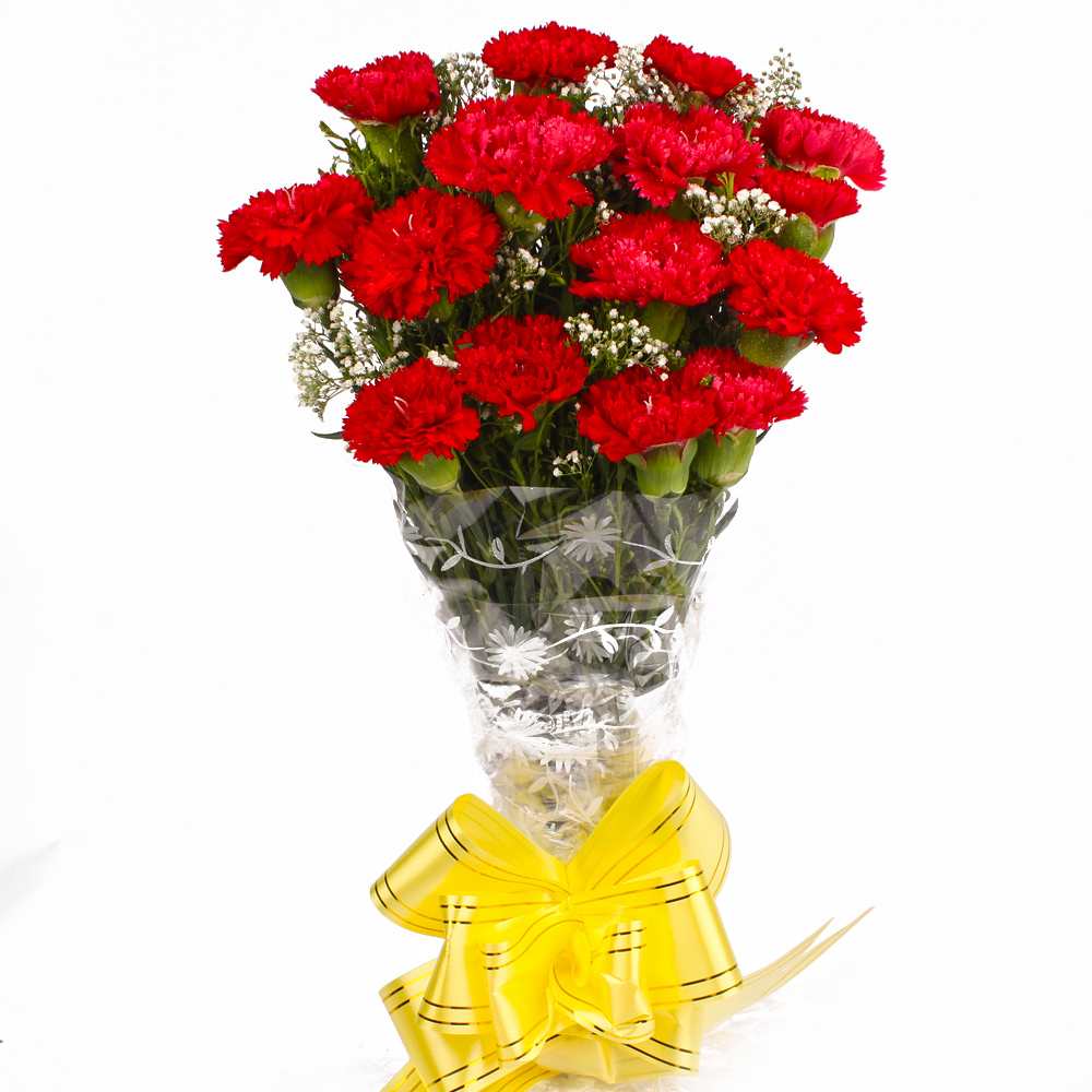 Fifteen Red Carnations Cellophane Wrapped Bunch