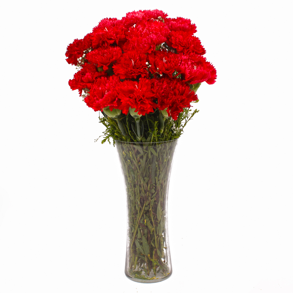 Fantastic Vase of 15 Red Carnations