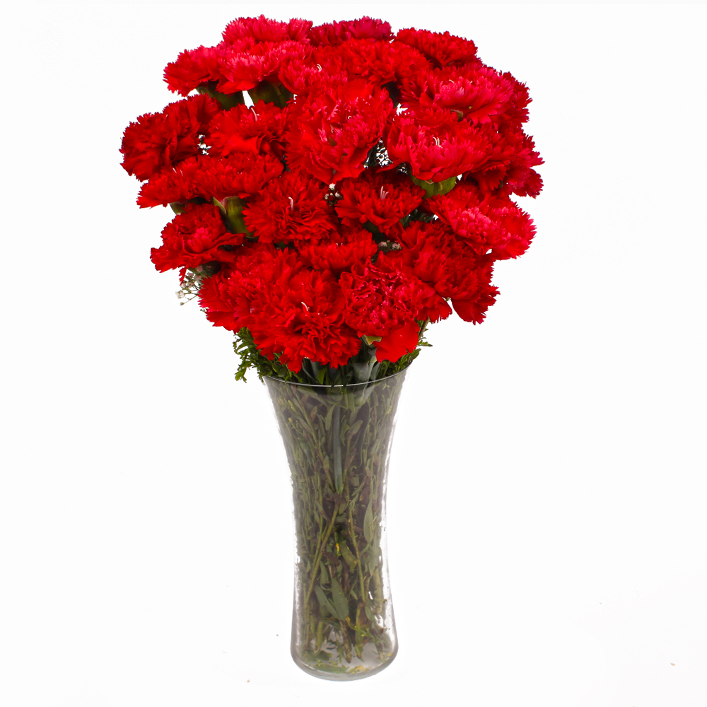 Fantastic Vase of 15 Red Carnations