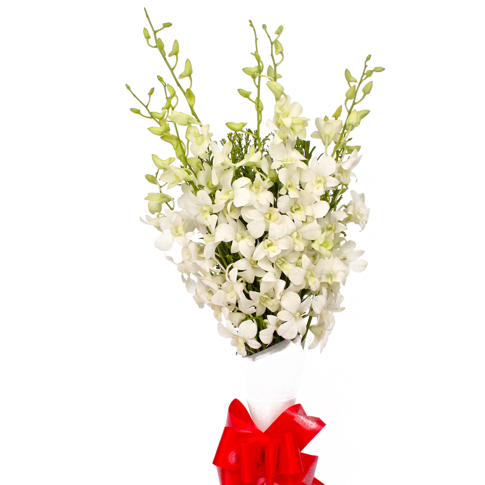 Exotic 10 White Orchids in Tissue Paper Wrapped