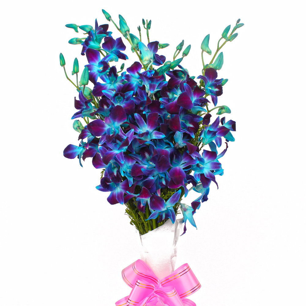 Bouquet of Ten Blue Orchids in Tissue Paper Wrapping