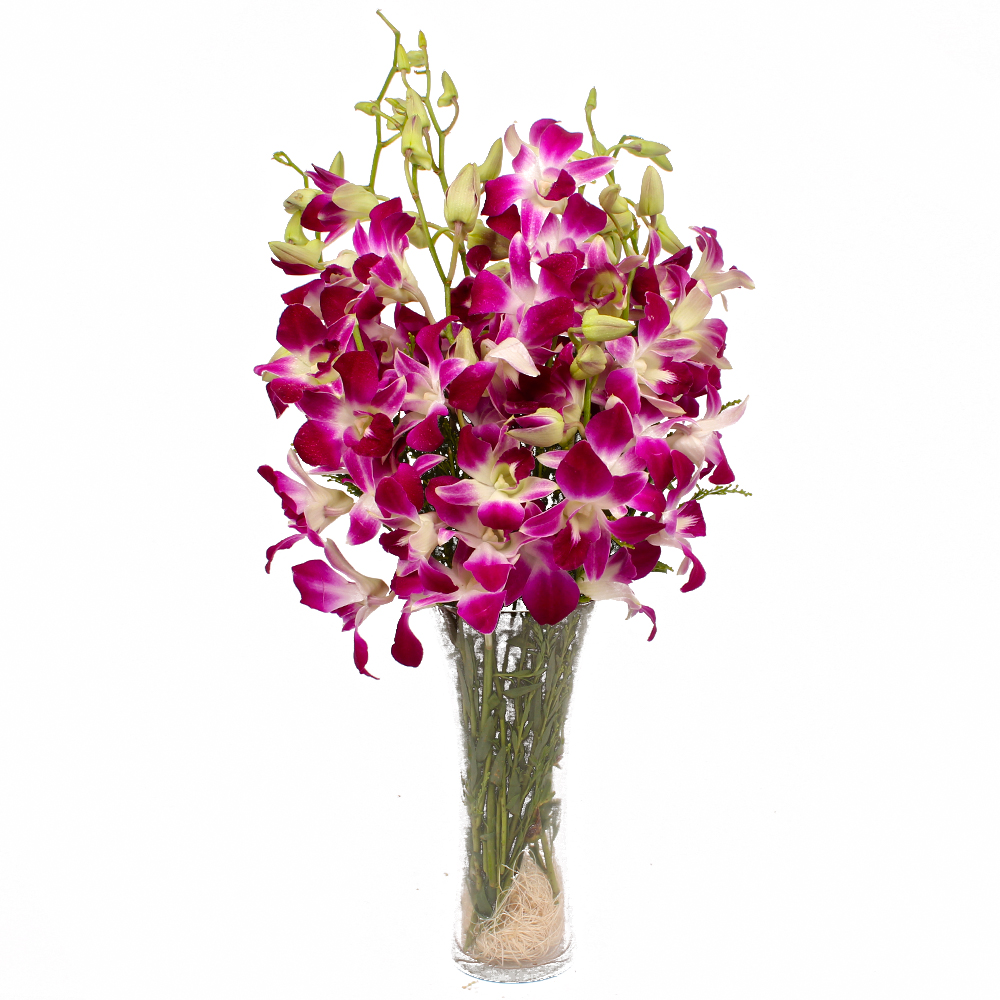 Glass Vase of 10 Purple Orchids