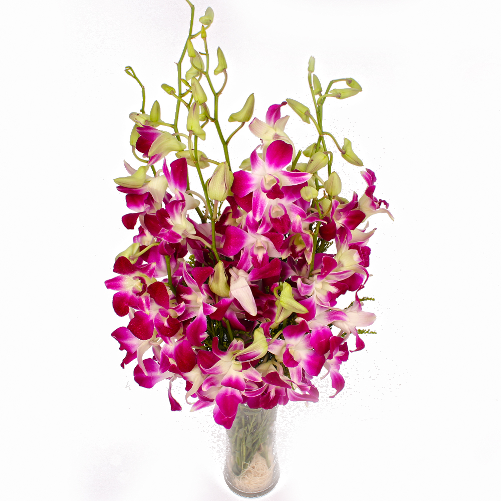 Glass Vase of 10 Purple Orchids