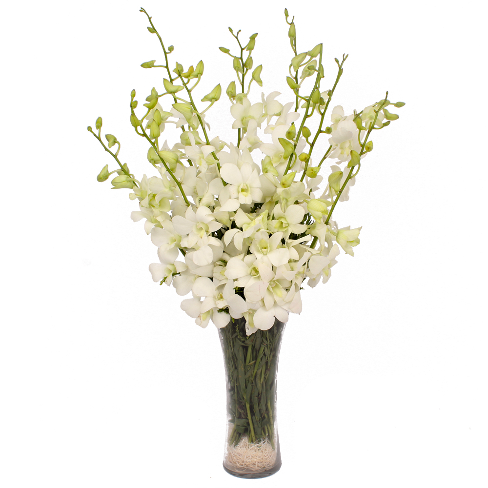 Glass Vase of 10 Exotic White Orchids