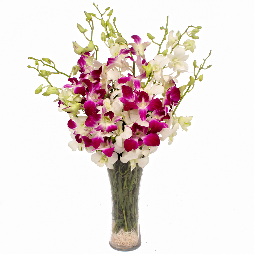 White and Purple Orchids Arranged in a Vase